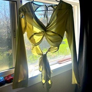 Cotton Candy LA cropped silky green top